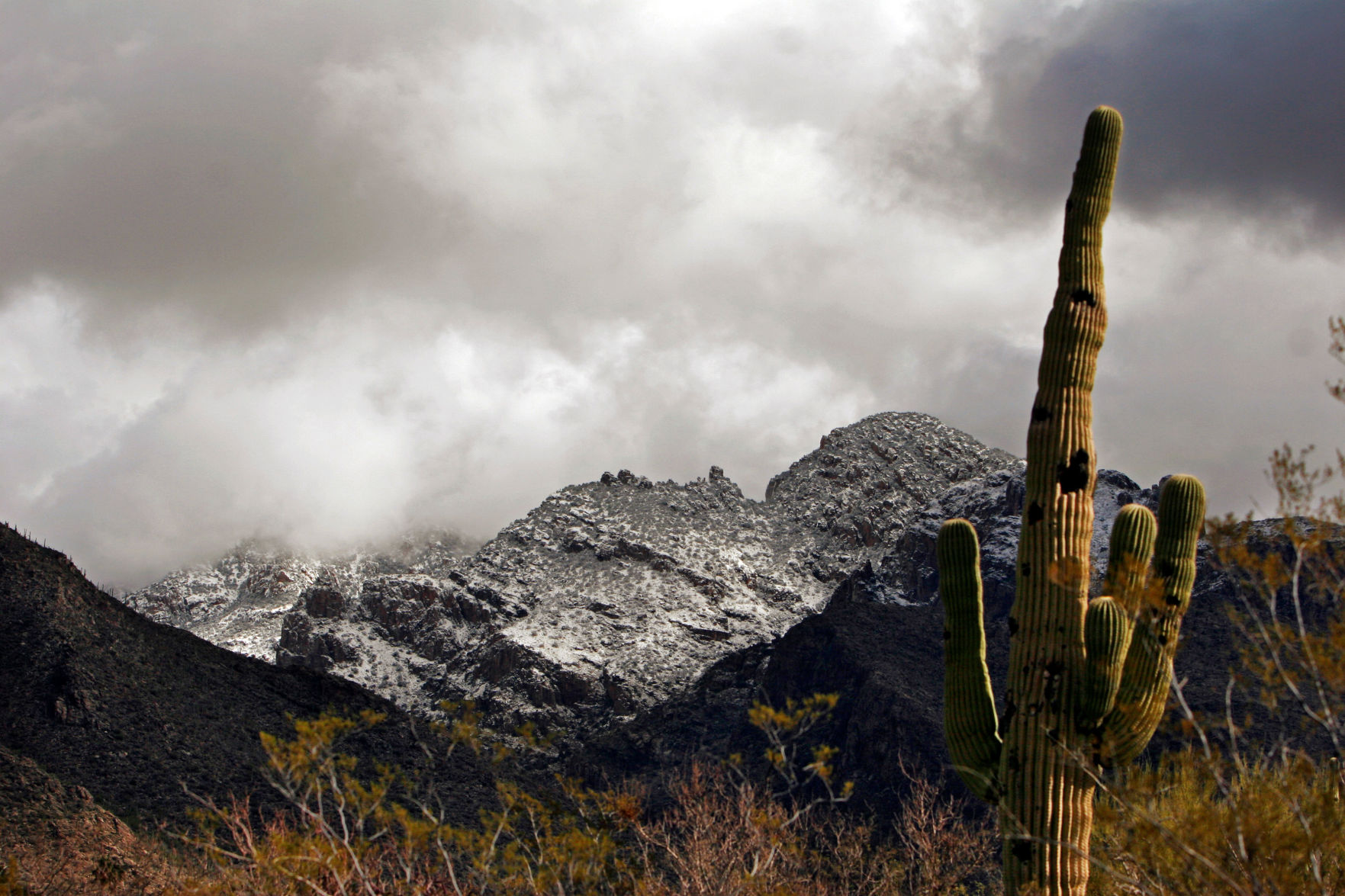 Pima Canyon Trail in Santa Catalina Mountains